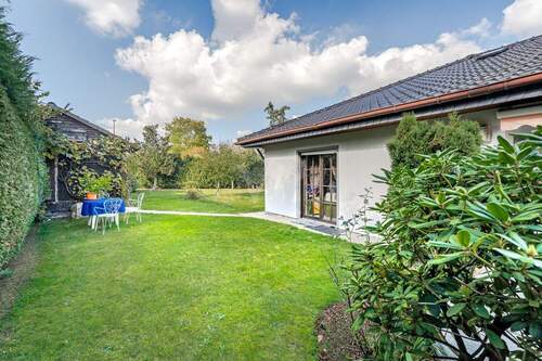 Eingewachsener Gartenbereich - 