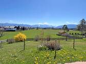 Großer Garten mit Alpenblick - 