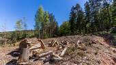 Bauplatz in Lemberg-Rumberg - 