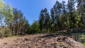Bauplatz in Lemberg-Rumberg - 