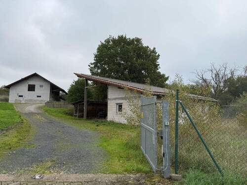 IMG-20251007-WA0194.jpg - 