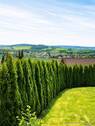Gepflegter Garten mit Weitblick - 