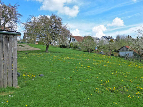 Bild24 - 