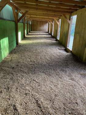 WhatsApp Image 2025-12-16 at 11.01.04-12.jpeg - 