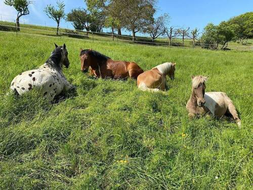 WhatsApp Image 2025-12-16 at 11.24.38.jpeg - 