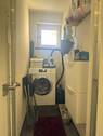 IMG_0142.jpeg - 
