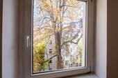 Fenster - 