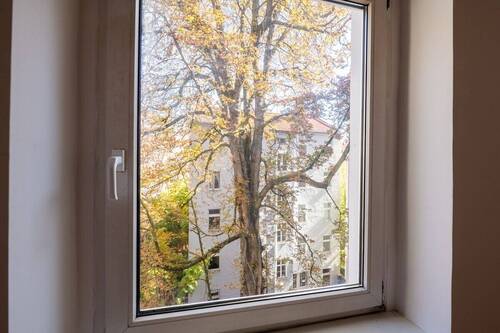 Fenster - 