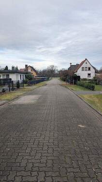 k-PXL_20251203_095851569.jpg - 