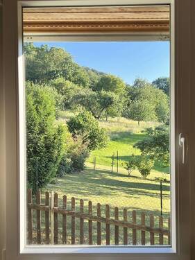 Ausblick - 