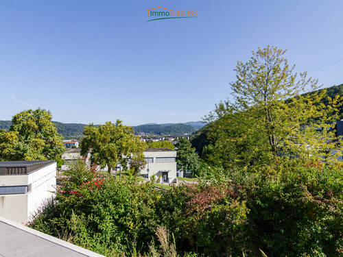 Aussicht auf das Wiesental - 