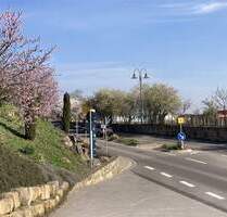 Zwei Häuser mit Weinbergsblick - sanierungsbed. Schmuckstück - Herxheim am Berg