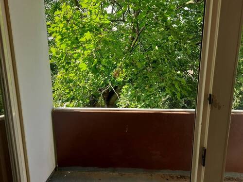 Blick vom Balkon - 