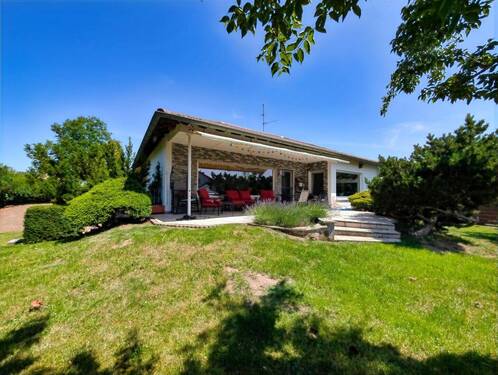 Garten und Terrasse - 