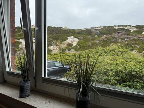 Blick - 