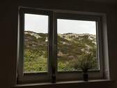 Fenster - 