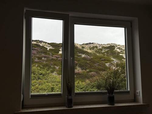 Fenster - 