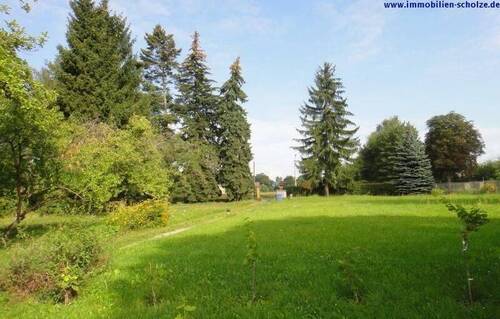 Blick in Richtung Straße - Grundstück zum Kaufen in Heidesee