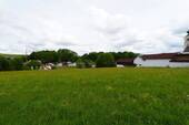 DSC00721.JPG - 
