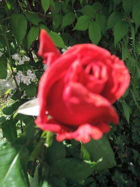 Bild 7 - 