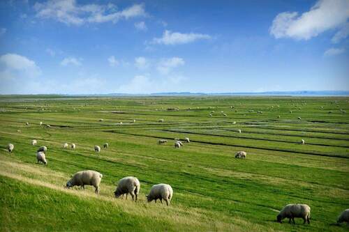 10. Nordfriesland - Umgebung - 