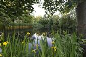 Bild 9 - 