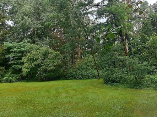 Bild 3 - Grundstück in Deutsch Evern