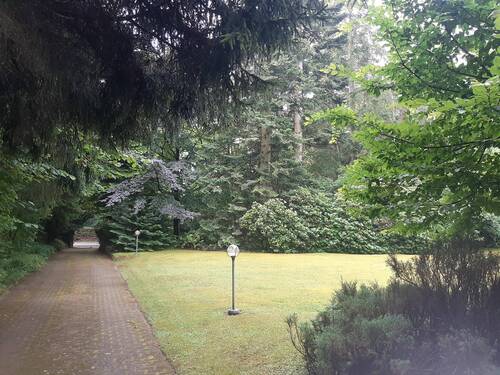 Zufahrt - Grundstück in Deutsch Evern zum Kaufen