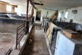 Bild 17 - 