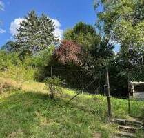 Hobbygärtner aufgepasst: Herrliches Freizeitgrundstück jetzt verfügbar! - Emskirchen