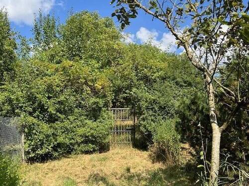 Bild2 - Grundstück zum Kaufen in Emskirchen