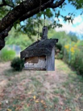 Bild4 - Grundstück in Emskirchen zum Kaufen