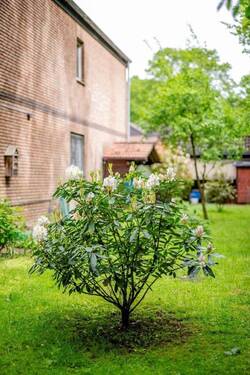 Bild 14 - 