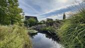 Teich - 