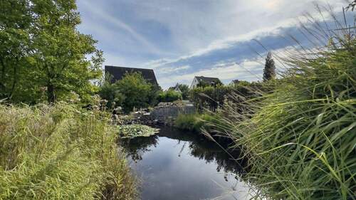 Teich - 