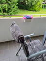 Balkon - 