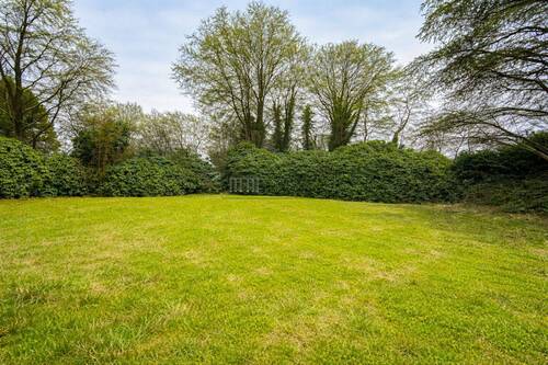 große Rhododendron - Grundstück in Halstenbek zum Kaufen