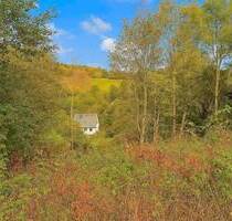 Attraktives Hanggrundstück mit Panoramablick in Winterberg-Silbach