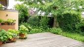 Terrasse - 