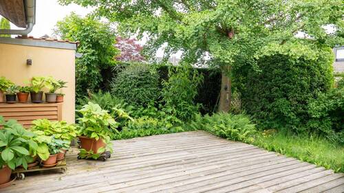 Terrasse - 