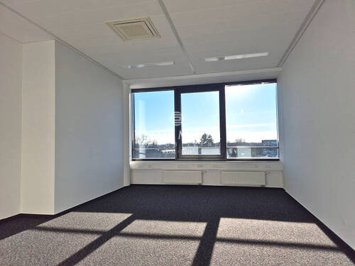 im Büro - 