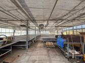 Gewächshaus mit Pflanztischen - 