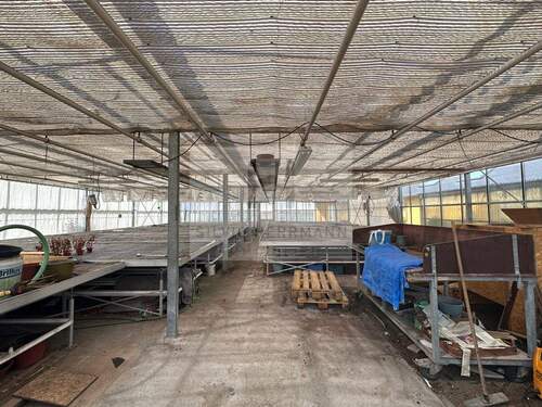 Gewächshaus mit Pflanztischen - 