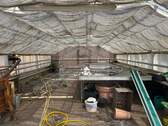Gewächshaus mit Schattierung - 