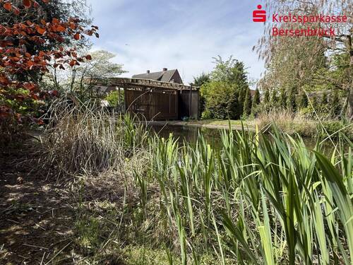 Gartenteich - 