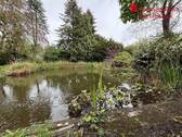 Gartenteich - 