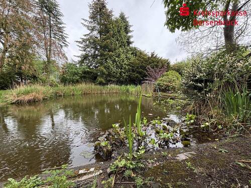 Gartenteich - 