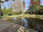 Gartenteich - 