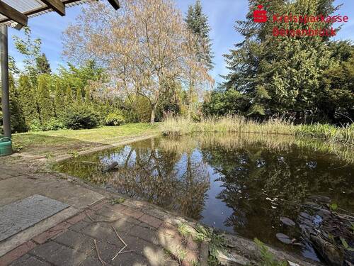 Gartenteich - 