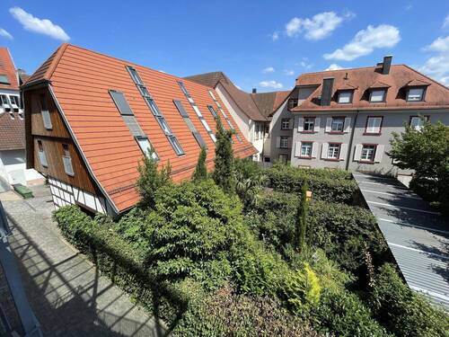 Blick in den Garten - 